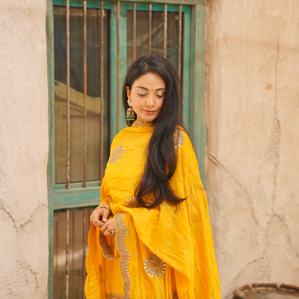 
                      
                        Begum Sharara Set
                      
                    